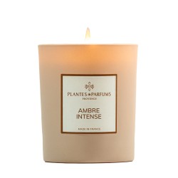 Bougie soja 180g Ambre intense