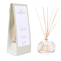 Bouquet Parfumé Bambou Blanc